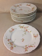 Antique limoges theodore for sale  Lancaster