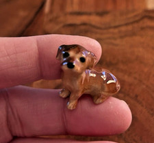 Mini miniature hagen for sale  Beaver Falls