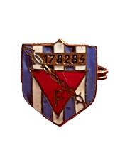 Insigne emaillé déportés d'occasion  Allègre