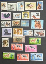 Fine used dog for sale  BRIDGNORTH