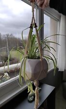 Macrame plante suspendue d'occasion  Lingolsheim