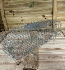 Humane live squirrel for sale  ROTHERHAM