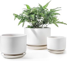 Tauci ceramic plant for sale  Independence