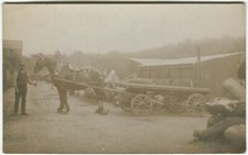 Shire horse working for sale Shire horse working for sale  DUNDEE