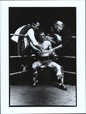 James fox boxeur d'occasion  Pagny-sur-Moselle