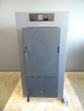 Viessmann vitoligno 150 gebraucht kaufen  Radebeul