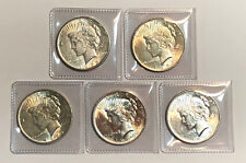 Lot silver peace for sale  Longwood