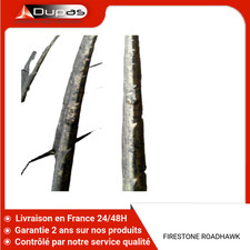 Paire pneus firestone d'occasion  Nemours