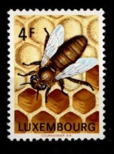 Bienenzucht biene wabe gebraucht kaufen  Düsseldorf