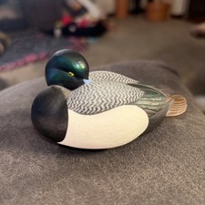 Jett brunet ducks for sale  Monticello