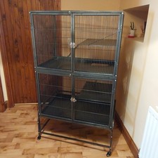 Rat ferret small for sale  PENRITH