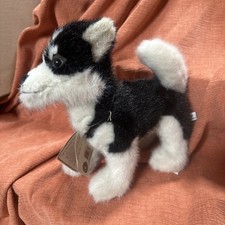 huskie puppy for sale huskie puppy for sale Waterville