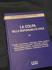 Colpa nella responsabilita usato  Gualdo Tadino