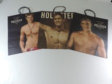 LOTE HOLLISTER DE 6 SACOS DE PAPEL GRANDES, PRÉ-PROPRIETÁRIO, POR ABERCROMBIE SACOS DE COLECIONADORES comprar usado  Enviando para Brazil