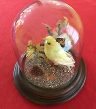 Taxidermy full size for sale  Woodstock