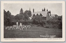 Chorleywood hertfordshire fox for sale  GLASGOW