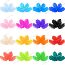 10pcs 20cm natural for sale  MANCHESTER