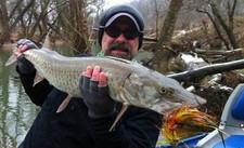 Musky Moscas Single-Gancho 5/0 Peixes muskie comprovados Varas De Pesca Com Mosca Carretilhas Iscas comprar usado  Enviando para Brazil