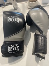 Boxing gloves never for sale  Homestead
