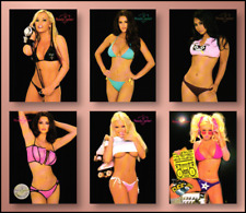 2004 benchwarmer series for sale  USA