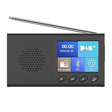 Radio portatile dab usato  Catania