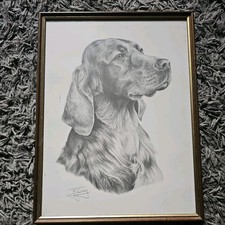 Framed irish setter for sale  BARROW-IN-FURNESS