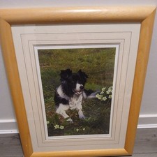 Steven townsend isla for sale  BRECHIN