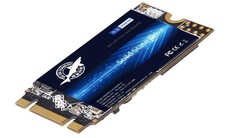 Dogfish 2242 ssd gebraucht kaufen  Andernach