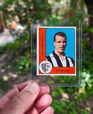 Charles calciatori panini usato  San Benedetto Po