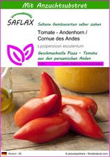 Saflax tomate andenhorn gebraucht kaufen  Münster