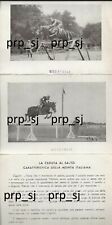 Cartolina equitazione salto usato  Italia