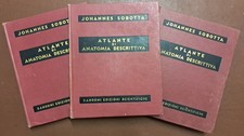 Sobotta atlante anatomia usato Sobotta atlante anatomia usato  Terlizzi