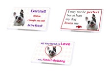 Funny dog french for sale  OLDHAM