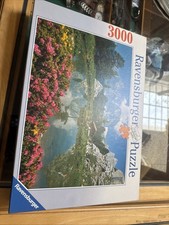 Ravensburger 170241 3000 gebraucht kaufen  Alzey
