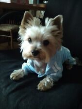 Baby blue pet for sale  USA