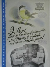 Haberle prospekt preisliste gebraucht kaufen  Untersiemau