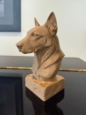 Buste chien malinois d'occasion  Faches-Thumesnil