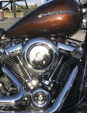 Harley davidson softail gebraucht kaufen  Frechen