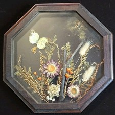 Octagon framed dried for sale  Tracy