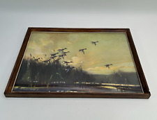 Vernon ward mallards for sale  STOKE-ON-TRENT