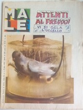 Male gennaio 1979 usato  Verona