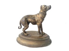 Alfred dubucand chien d'occasion  Toulouse-