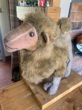 Vintage 1970 camel for sale  STOKE-ON-TRENT