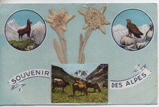Old postcard souvenir d'occasion  Expédié en Belgium