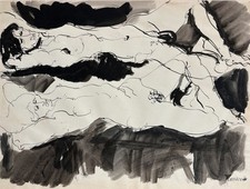 Saverio terruso usato  Nettuno
