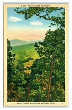 Postcard thunderhead mountain for sale  Saco