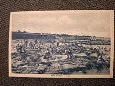 Cartolina mola bari usato  Roma
