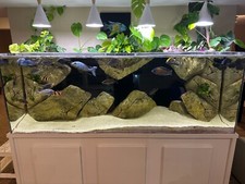 260 gal acrylic for sale  Orchard Park