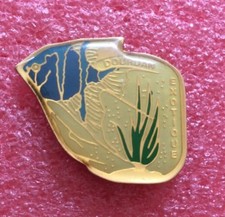 T01 pins animaux d'occasion  La Roche-sur-Yon