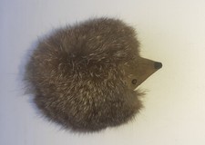 Süßer kleiner igel gebraucht kaufen  Bayreuth